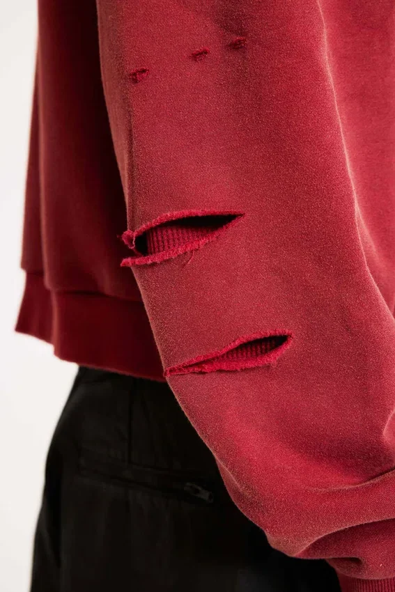 Sudadera con capucha, cremallera y forro de tejido de pan de miel, con efecto desgastado «Red Sun»