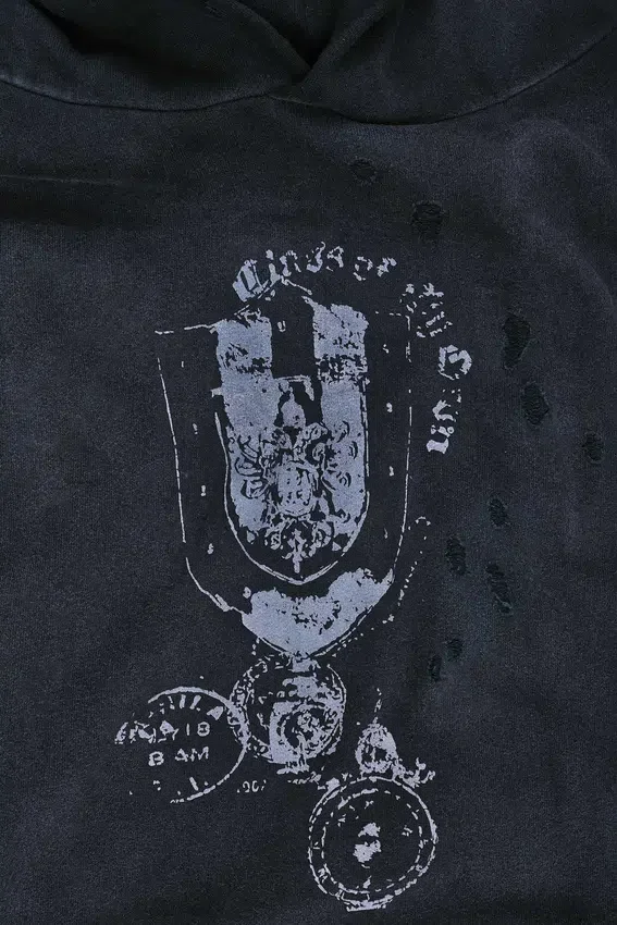 Sudadera con capucha y emblema